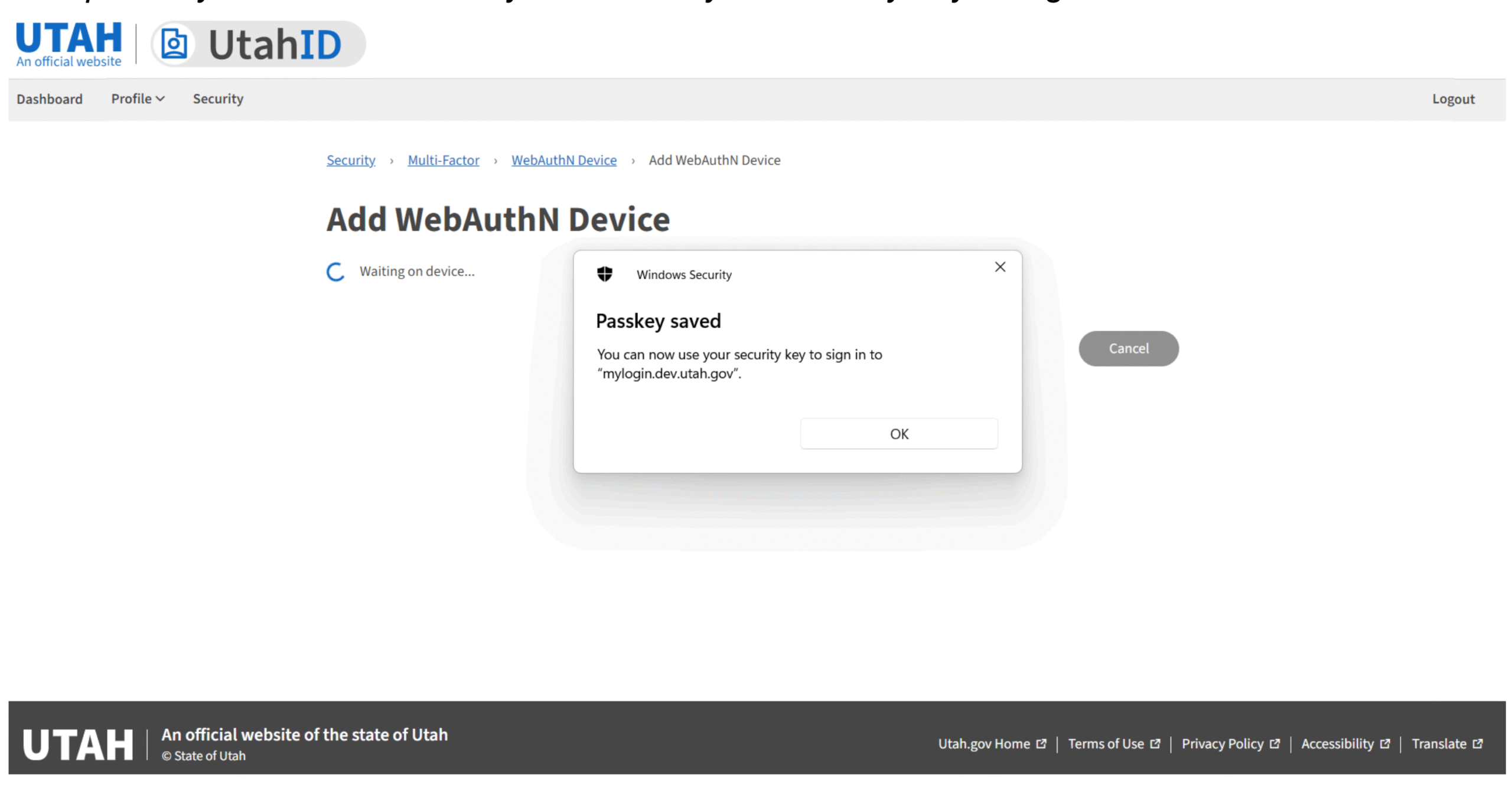 Visual aid for saved passkey