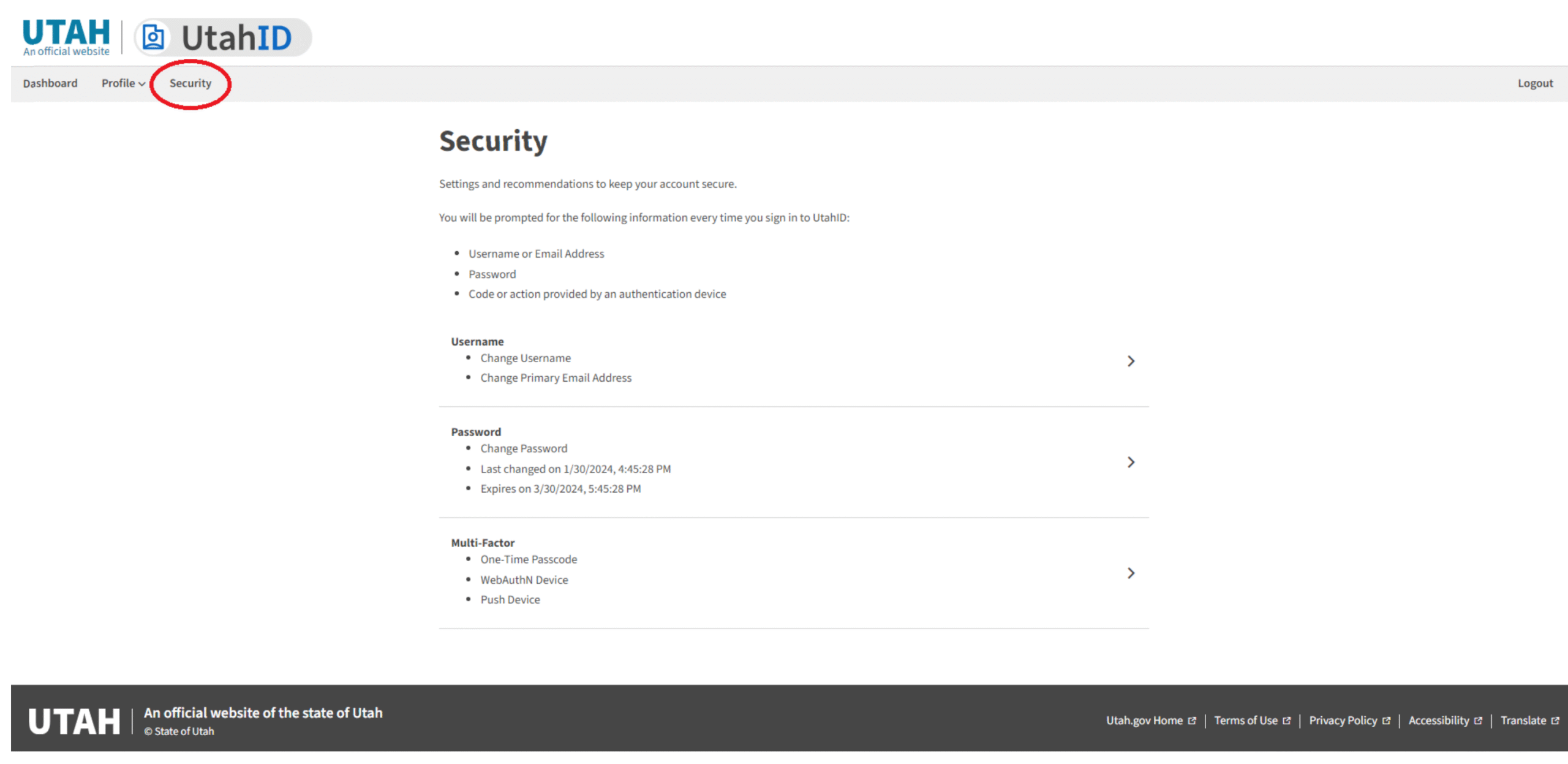 Visual aid for security menu item