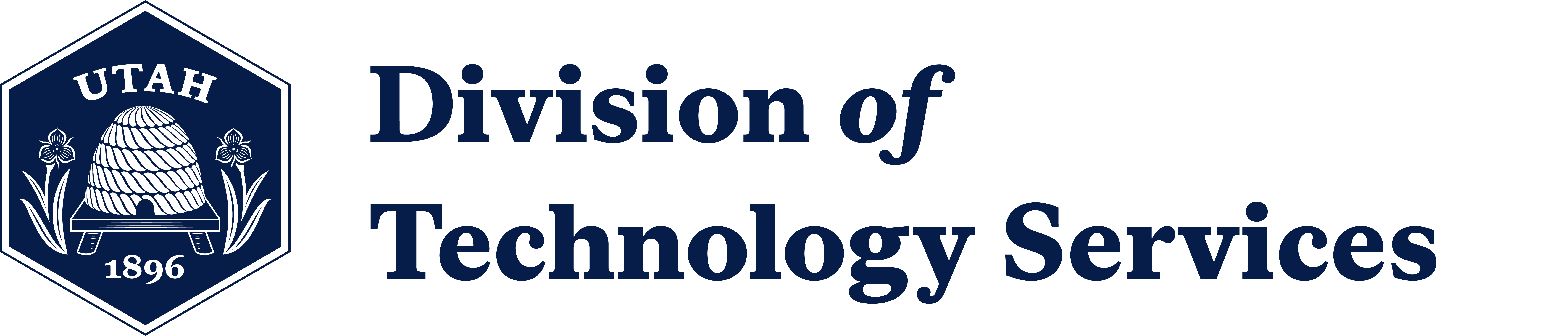 Division of Technology Services Logo